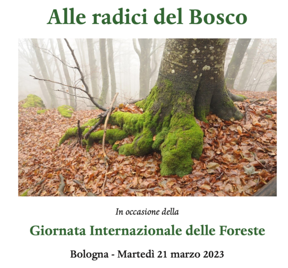 Alle radici del Bosco